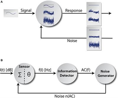 Stochastic Resonance Controlled Upregulation of Internal Noise after Hearing Loss as a Putative Cause of Tinnitus-Related Neuronal Hyperactivity